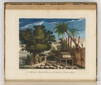 Illustration from A Journal of a Voyage to the South Seas: In His Majesty